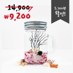 미니가든 미니가든 미니가든 큰손잡이 마리모키우기 DIY 세트 단체실습 어항 만들기 세트 색돌4 마리모S