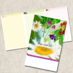 예닮 주보용지 3단 주보 교회 예배 주보인쇄 기성 디자인 칼라 청년부 주보 기독교용품 1개 EW-21