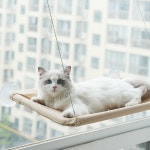 키밍 윈도우 흡착판 고양이 해먹 창문 침대 캣타워