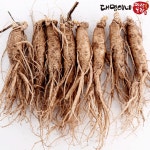 금산인삼 5년근 6년근 세척 무세척 수삼 가정용 세척 원삼 8뿌리-750g 1개