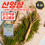 10년근 횡성 S급 산양삼 뿌리 옵션 임업 진흥원 10년근 횡성 산양삼 3뿌리 공단보자기 1개
