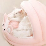 큐티펫 반려동물 동굴 하우스 고양이 강아지 방석