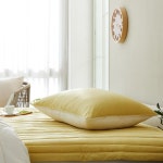 모던하우스 모던하우스 소프트워싱 리버시블 베개커버 40x60 애플그린 CV0324163