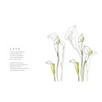 하우디 내츄럴벽지 x F-825 350