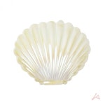 조개모양 소품보관함