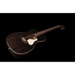 Art Lutherie 아트 앤 루시안 어쿠스틱 기타레거시 페이디드 공연 백