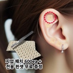 이혈테라피 귀지압 패치 이혈기석 귀침 혈자리