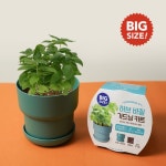 꿈쟁이 나만의 미니텃밭 BIG 가드닝키트 5종 중