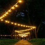 더쎈 4B 스트링 라이트 부품 20구 12M 0 5M 오징어 JHQPRP2R