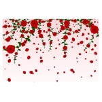 하우디 내츄럴벽지 x F-1181 350