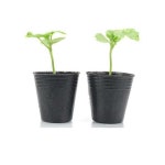 포트컵 플라스틱 식물 씨앗 화훼 가드닝 재배 채소