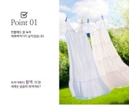 다래월드 저푸른초원위에 과탄산소다수 세탁세제 1L