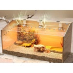 거북이집 이끼 애완동물 플랫 육지거북이사육장 파충류