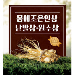 곱플러스 몸애조은 인삼 난발삼 10 12뿌리이내 600g 무료세척