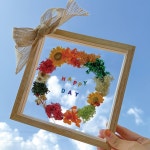 프리저브드꽃 모스이끼 투명 아크릴 원목 장식 액자 만들기