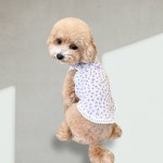 그루밍댕이 강아지옷 안개꽃 여름 나시 M 1개