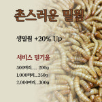 밀웜 생밀웜 개구리 햄스터 도마뱀 고슴도치 반려동물 먹이 대 2 5Cm전후 500마리 1개
