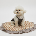 루이독 루이독 쇼콜라 팬츠