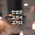 모노먼트 모노먼트 인테리어 포인트 뉴트로 레터링 스티커 - 인생은 고기서 고기다 L 흰색