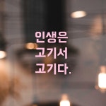 모노먼트 모노먼트 인테리어 포인트 뉴트로 레터링 스티커 - 인생은 고기서 고기다 L 연핑크