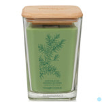 양키캔들 웰리빙 라지 히노키 주니퍼 아로마