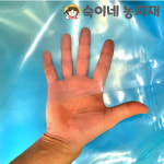 장수 비닐 0 x 5m x 30m 하우스 필름