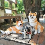 강아지 모형 정원 해류를 점점 아트 46근 조각 대형 S권장 조형물 피규어 조각상 꿈꾸다 포도파이 M권장 712근