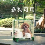 투명 고양이 이동장 캐리어 강아지 산책 외출 가방