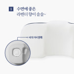 생활백서 잠이솔솔 라벤더 경추베개