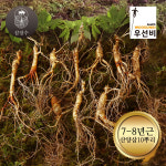 장뇌삼 삼장수 못난이 산양삼 횡성산 산양산삼 삼장수 산양삼 7 8년근 10뿌리 1박스 1개
