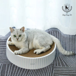 딩동펫 딩동펫 반려동물 고양이 마루 스크래쳐 하우스