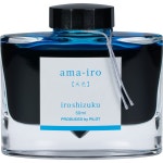 NAMIKI IROSHIZUKU 병 만년필 잉크 죽림 5 000