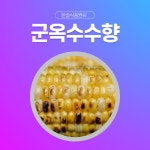 한솔식품원료 합성향료 군옥수수향 1kg 인삼향 1KG 1개