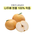 좋은영농 캐치티니핑 배 도라지