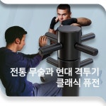 도미노 발차기 회전 옆차기 태권도 근력 특공무술 더미