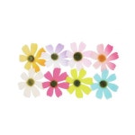 아트원 아트원 Art펠트 미니코스모스SET 지름4 환경꾸미기