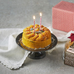 하림펫푸드 더리얼 레시피 골든비프 케이크 