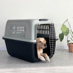 딩동펫 딩동펫 반려동물 에어 켄넬 하드캐리어 550 63 x 95 x 71 cm 1개