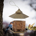 PrimeBulk 파워 야외 버드피더 모이통