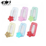 강아지 악세서리 애견용품 애완용품 개용품