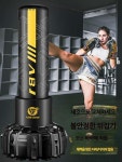 복싱 샌드백 홈 전문 권투 훈련 장비