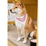 HAY 헤이 강아지 스카프 HAY Dogs Leash 목줄 목걸이 목도리 스카프 황토색 엘로우 1개