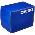 카시오 팝 스포츠 전자시계 LW2041B