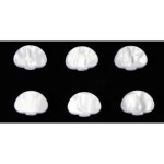 ALLPARTS 올파츠 Pearloid Button Set for Grover of 6 TK-7724-055