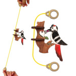 5인용 과학완구 진동과마찰 나무조립 딱따구리만들기 어린이