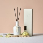 모던하우스 모던하우스 소담 하얀면 디퓨져 AR0324044