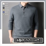 간절기티셔츠 카라티셔츠 남성카라티