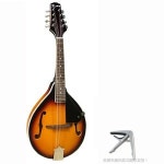 만돌린 악기 정밀 사운드 미니어처 내추럴 베이스