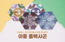 사고력보드게임- 이중 플렉사곤 12장 세트
