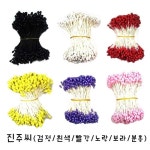 진주씨 체리아트